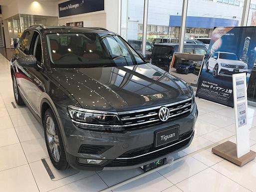 tiguan d 1.jpg