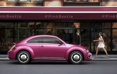 pink beetle.jpg
