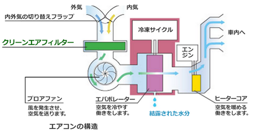 スタッフブログ Summer Drive Fair Volkswagen光が丘 Volkswagen Hikarigaoka