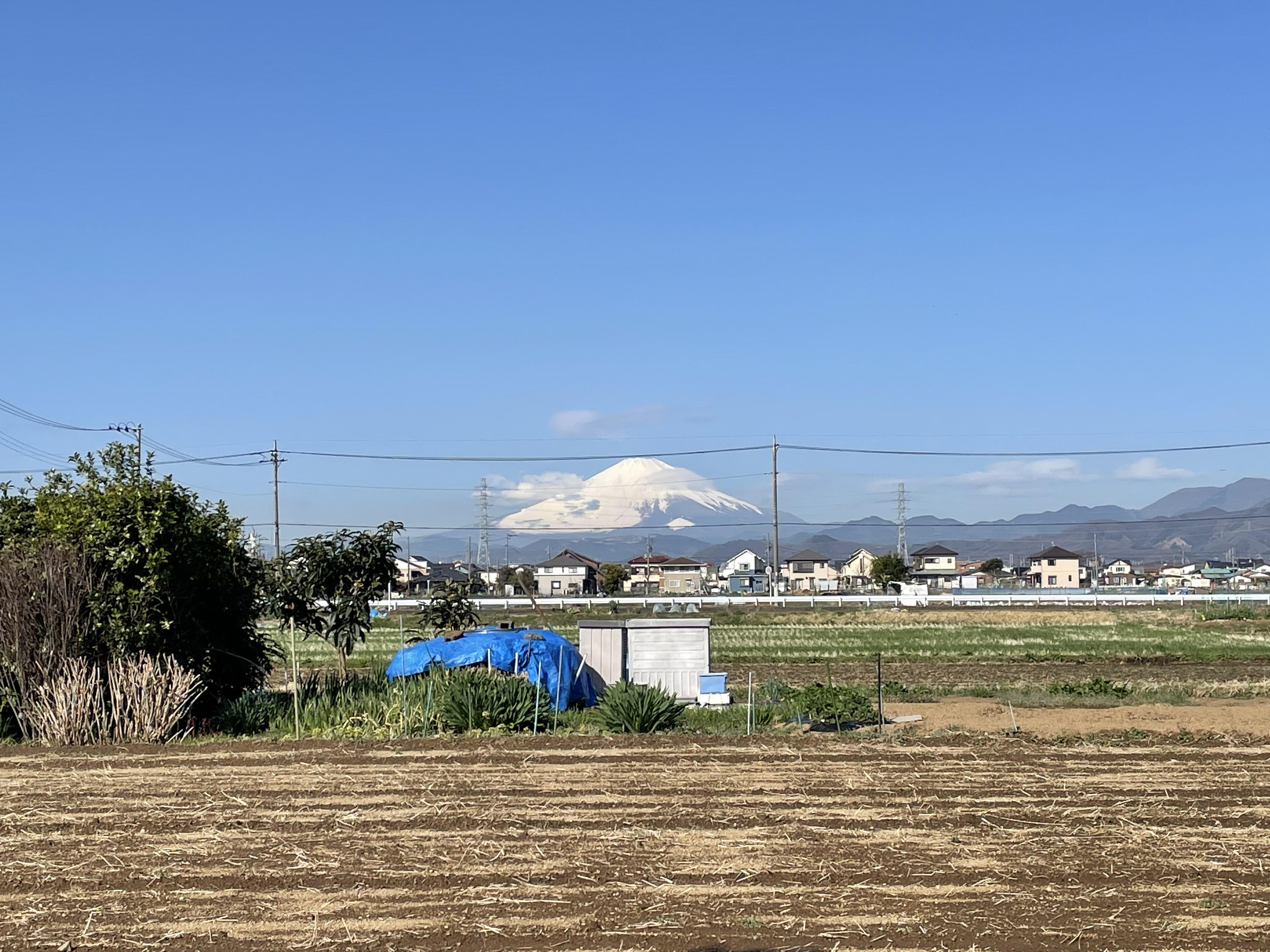 富士山２.jpg