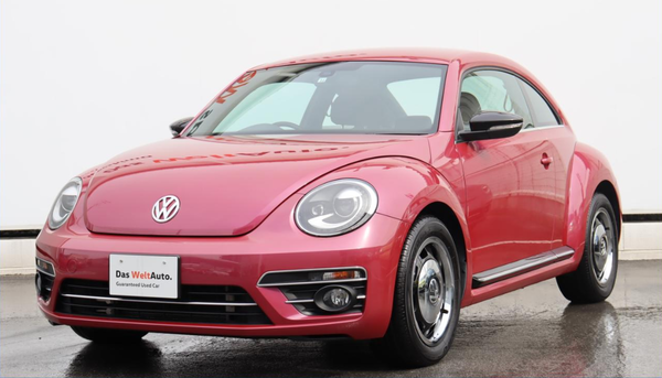 Beetle604278.png