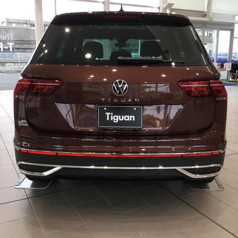 tiguan2.jpeg