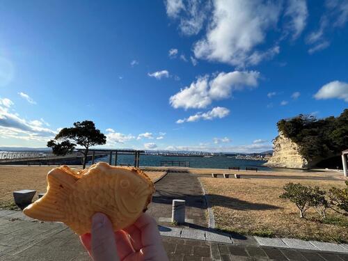 taiyaki.jpg