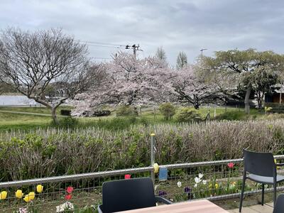 IMG_1152.jpeg