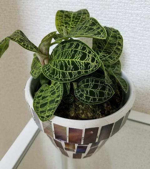 20170823_004138.jpg