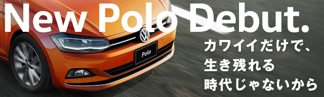 polo1.png