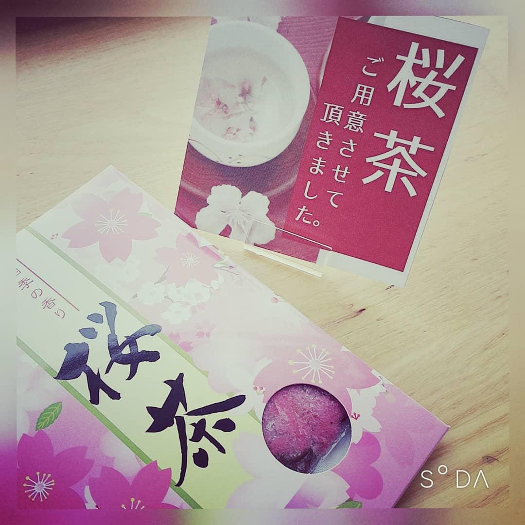 桜茶.jpg