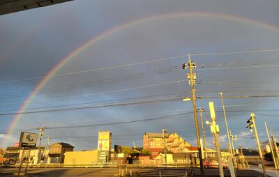 20241201_071621.jpg