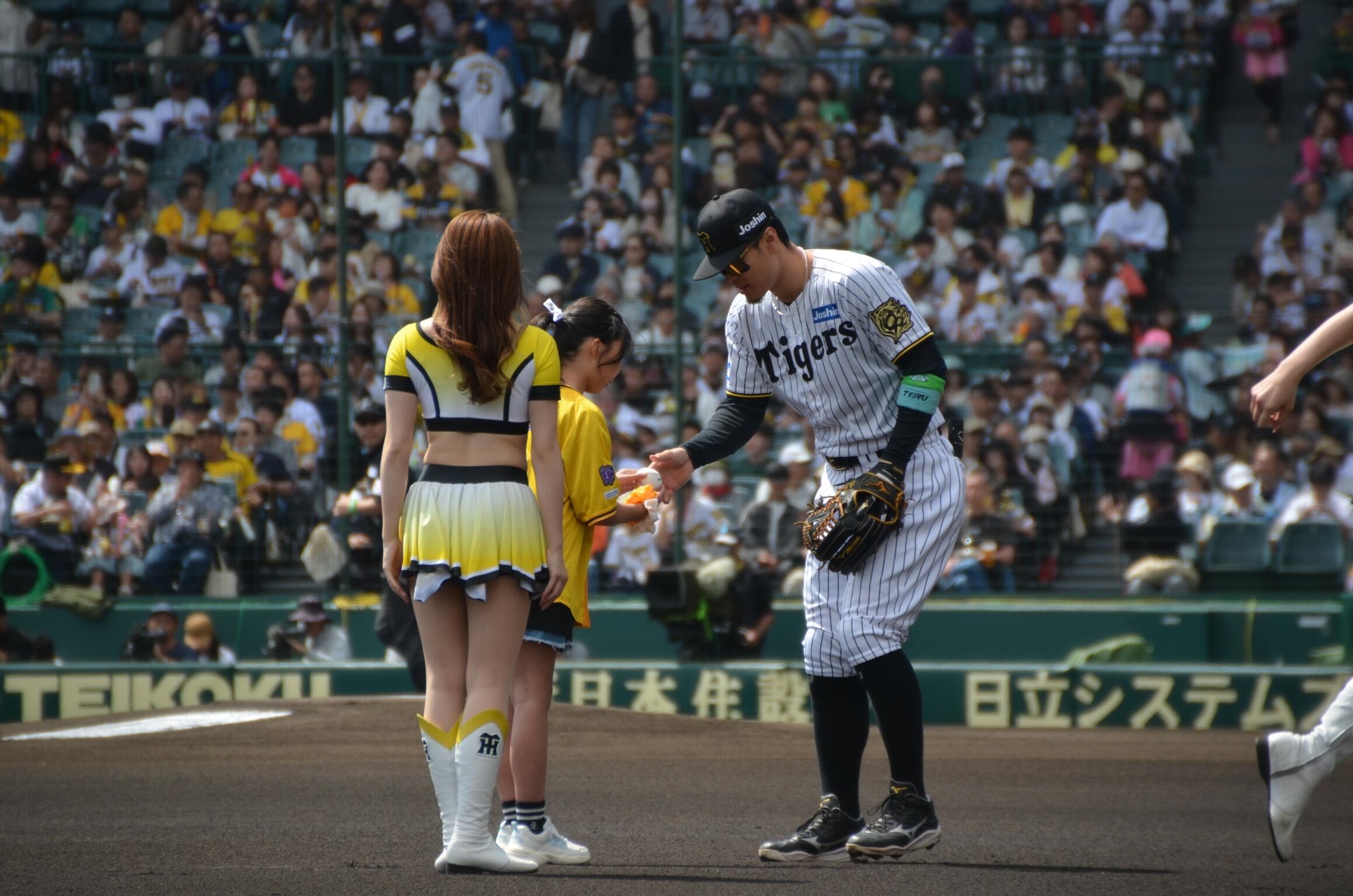 サトテル
