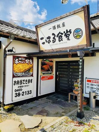 こはる食堂店舗.jpg