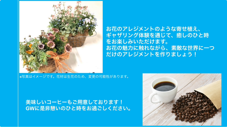 IMG_5867.PNG
