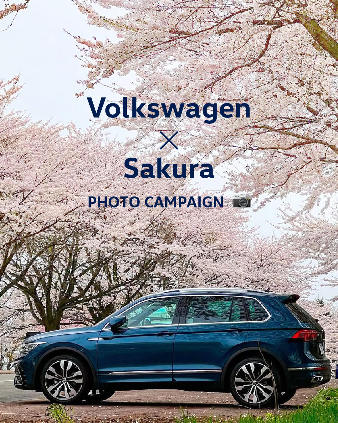 TOP | Volkswagen相模原橋本 / Volkswagen Sagamihara Hashimoto