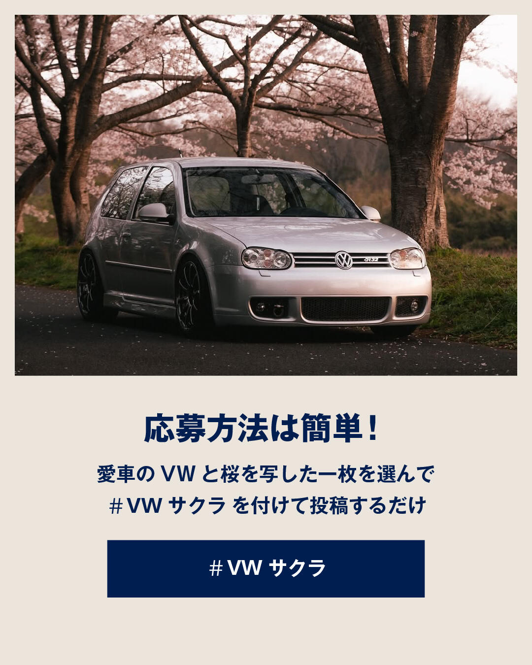sakura_photocp3.jpg