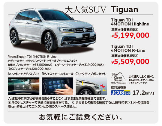 Tiguan.jpg