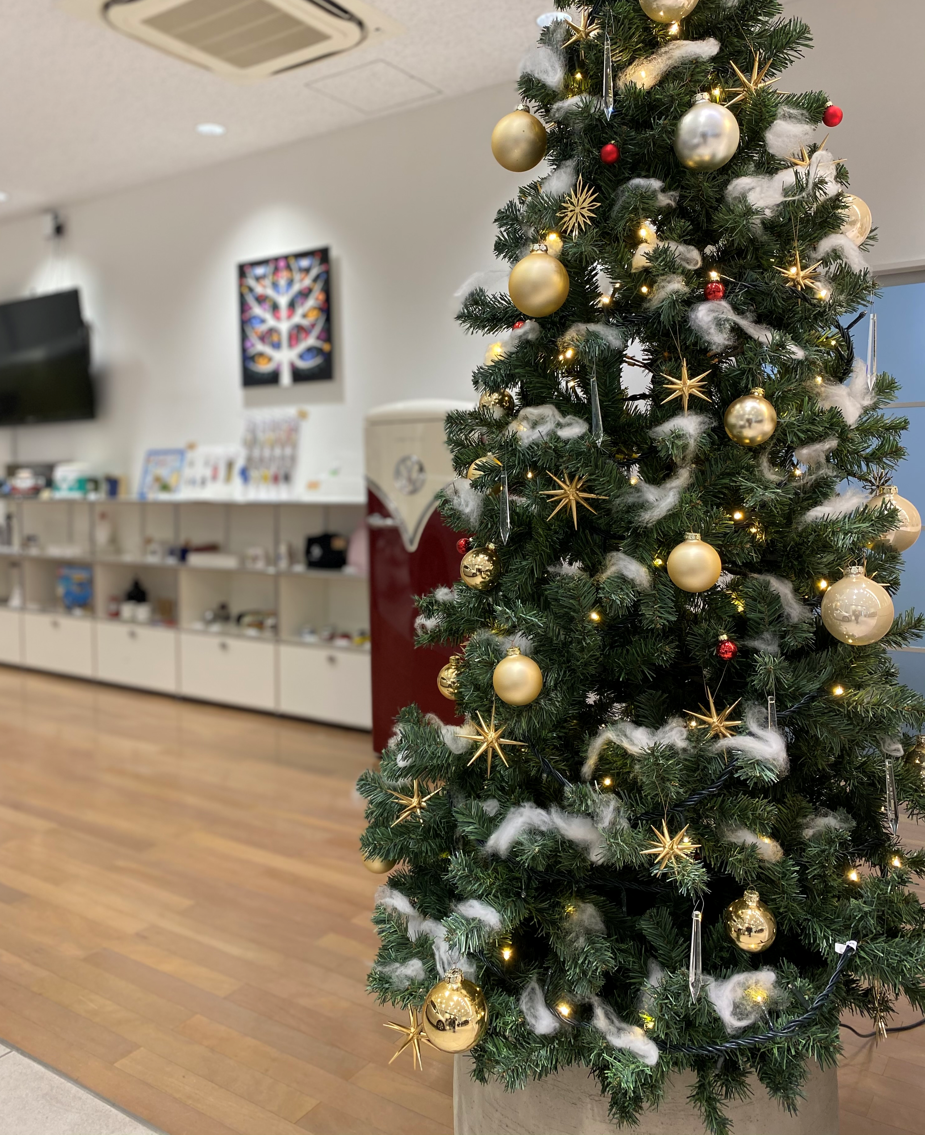 スタッフブログ メリークリスマス Volkswagen佐世保 Volkswagen Sasebo スタッフブログ メリークリスマス Volkswagen佐世保 Volkswagen Sasebo
