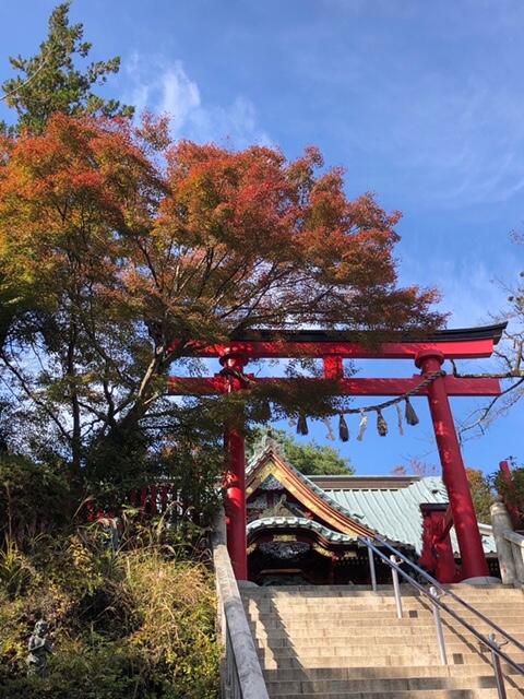 高尾山　鳥居.JPG