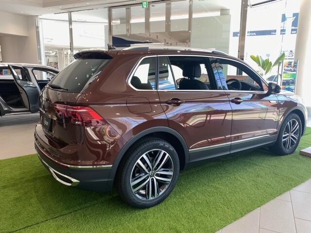 Tiguan 後ろ.jpeg