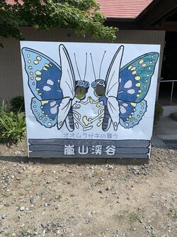 嵐山蝶々.JPG