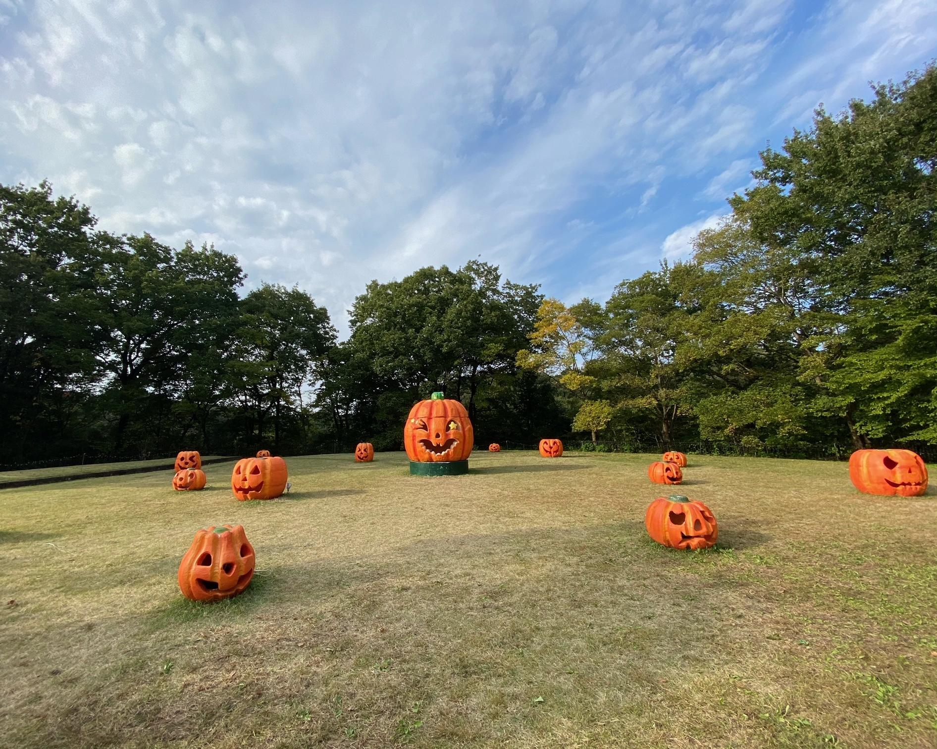 ハロウィン公園.jpeg