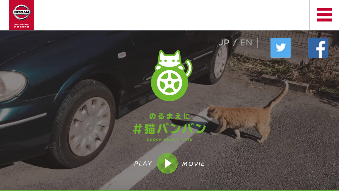 ねこ か ます ブログ