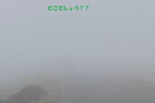 R Fog なし2.png
